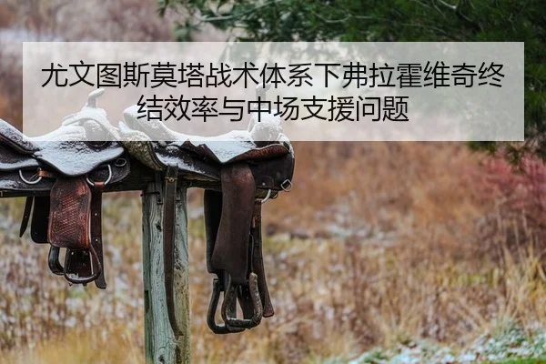 尤文图斯莫塔战术体系下弗拉霍维奇终结效率与中场支援问题