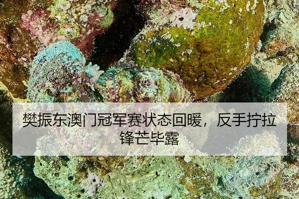 fan-zhen-dong-ao-men-guan-jun-sai-zhuang-tai-hui-nuan-fan-shou-ning-la-feng-mang-bi-lu-2-353.jpg